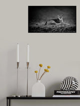 First Lady Poster och Canvastavla