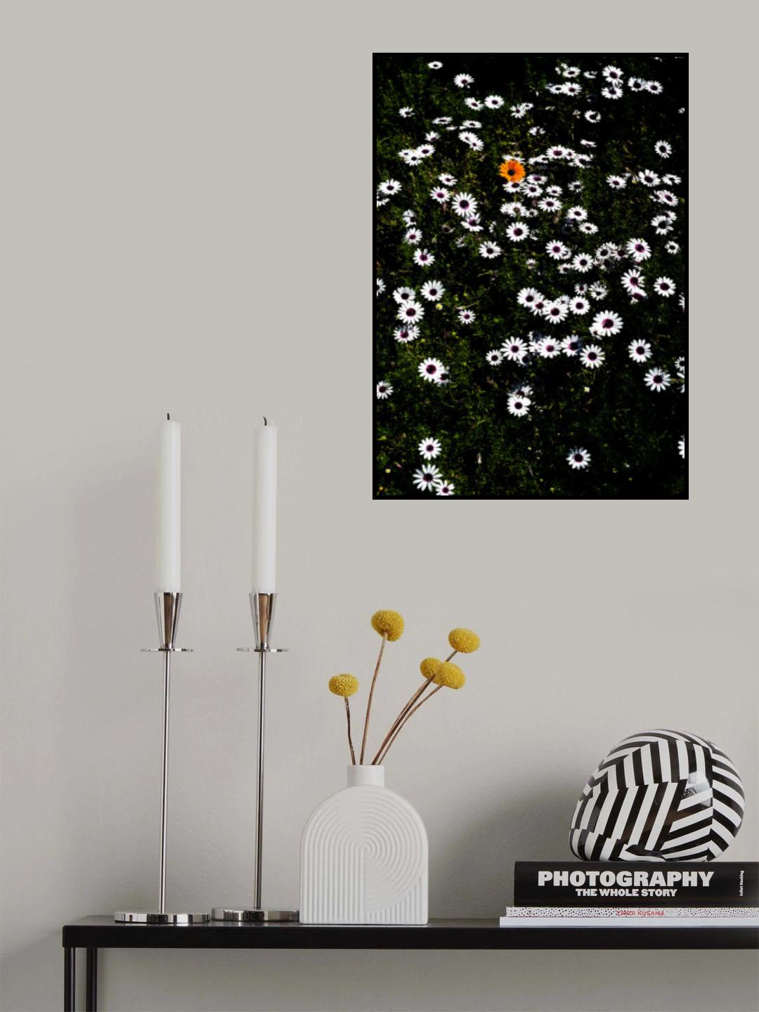 Namaqua Poster och Canvastavla