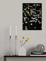 Namaqua Poster och Canvastavla