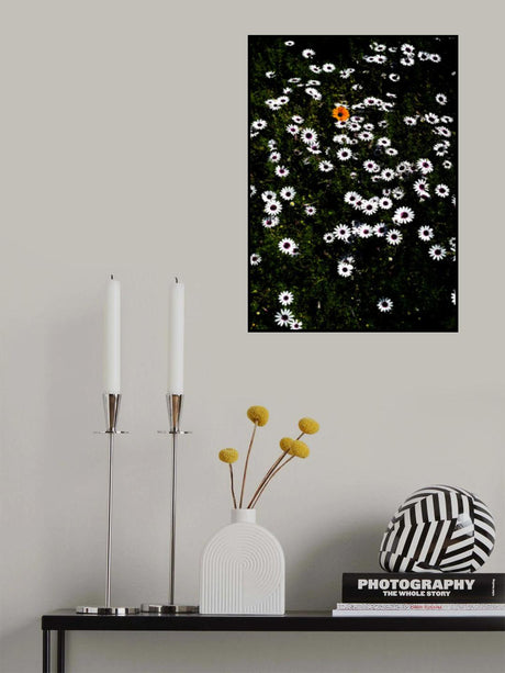 Namaqua Poster och Canvastavla