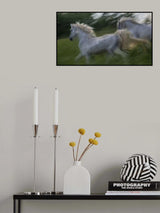 Gallop 3 Poster och Canvastavla