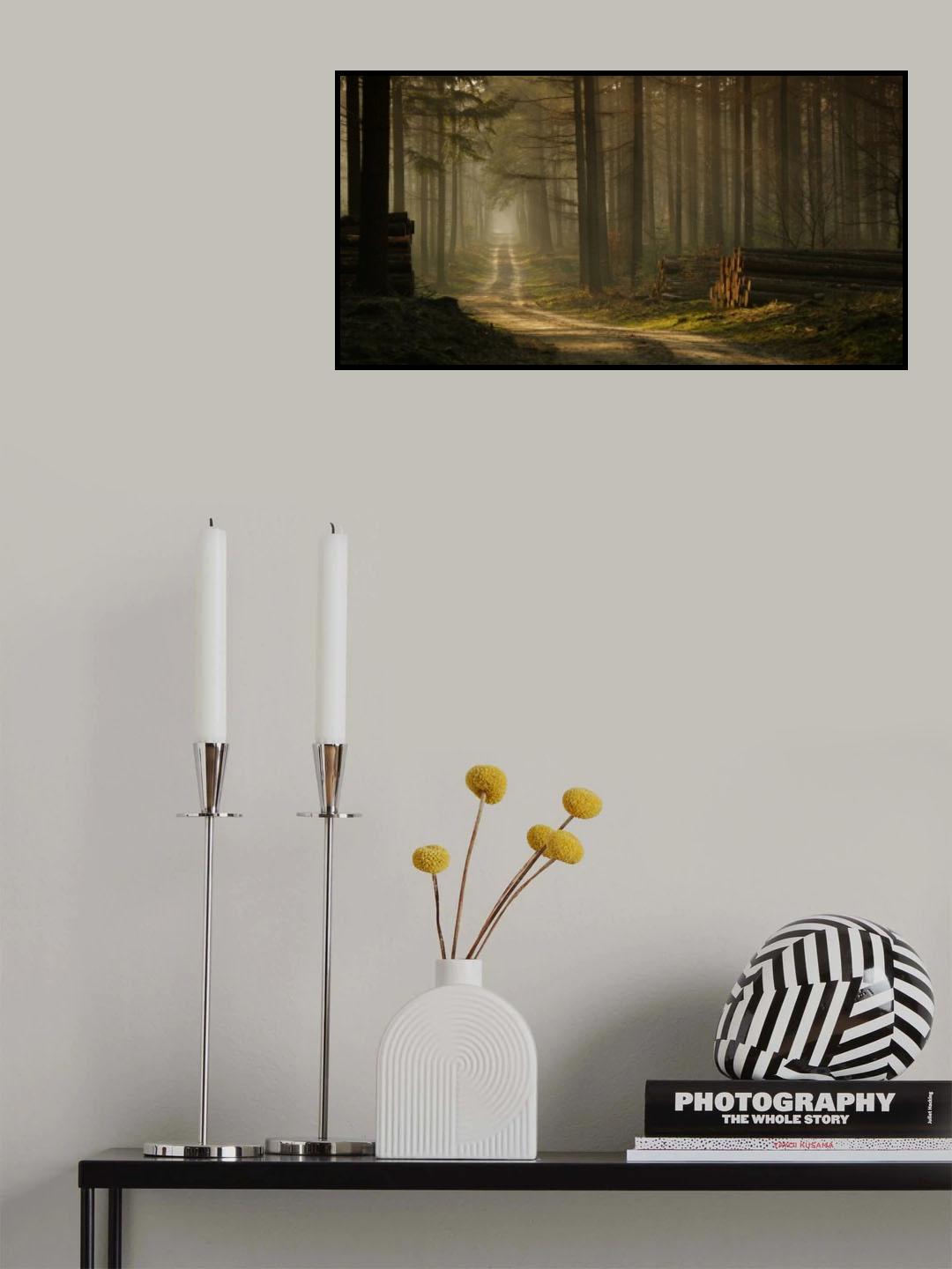 A forest walk Poster och Canvastavla