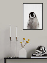 Peekaboo Baby Penguin Poster och Canvastavla