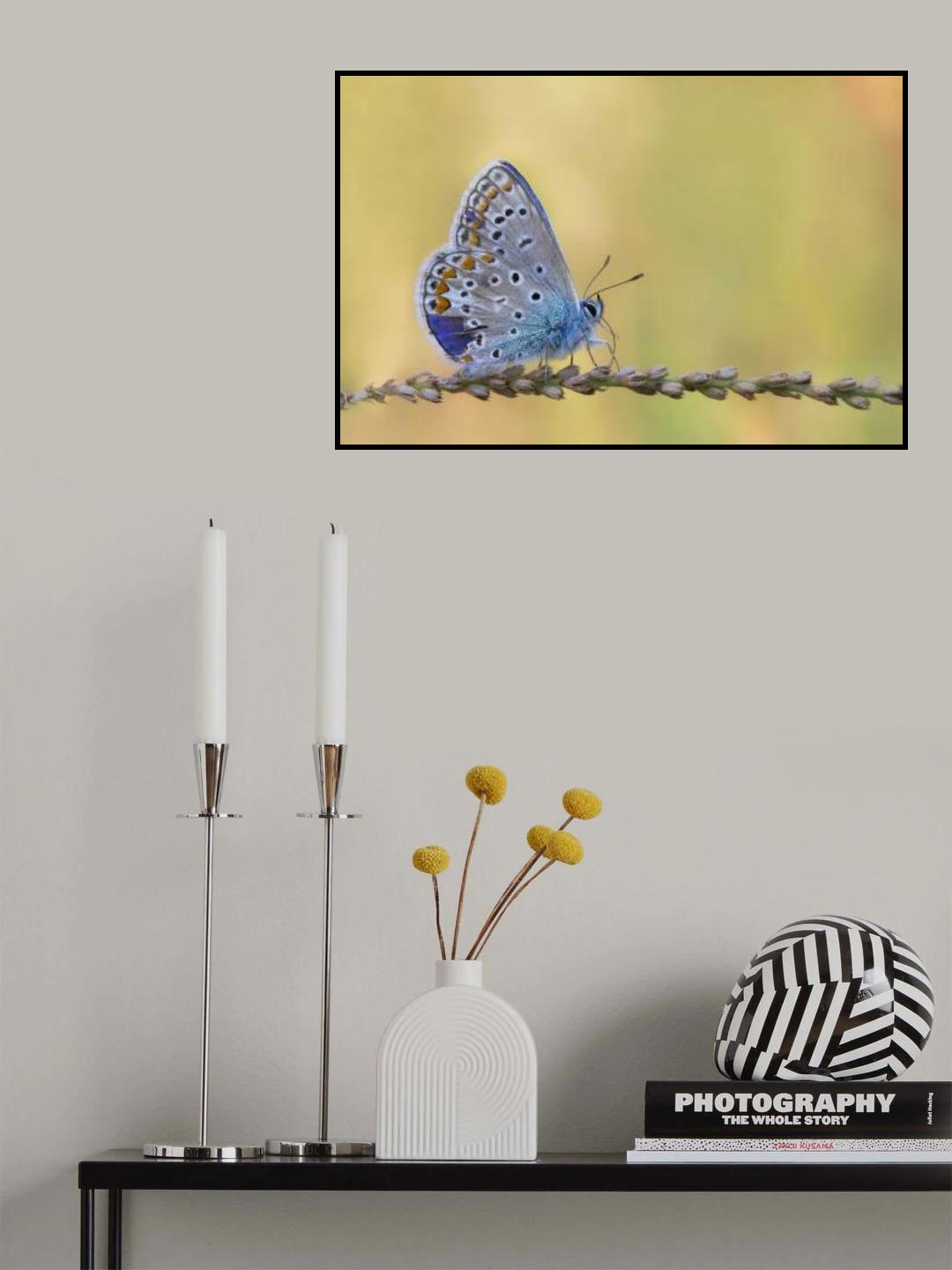 broken dress Poster och Canvastavla