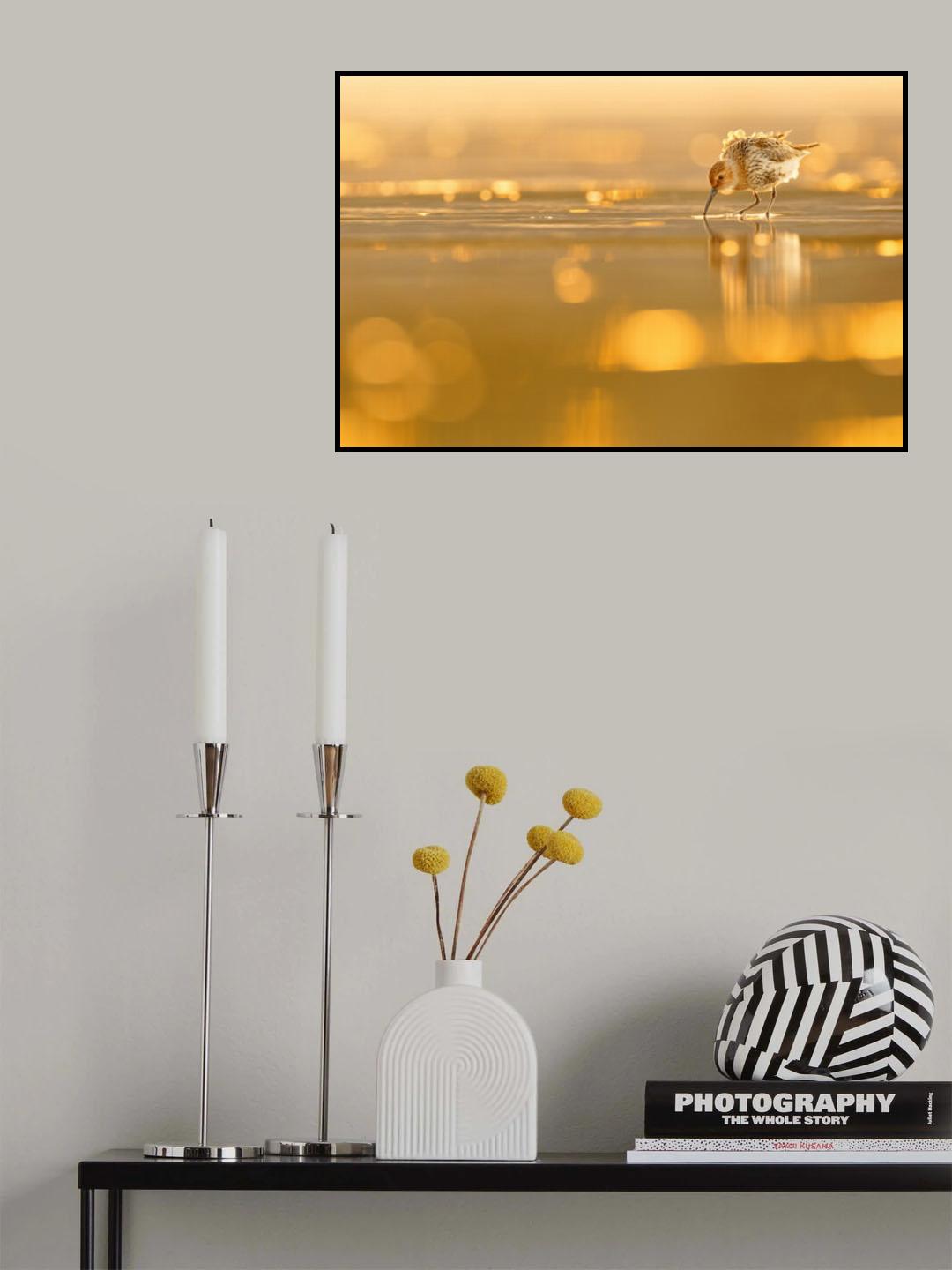 Dunlin Backlight Poster och Canvastavla