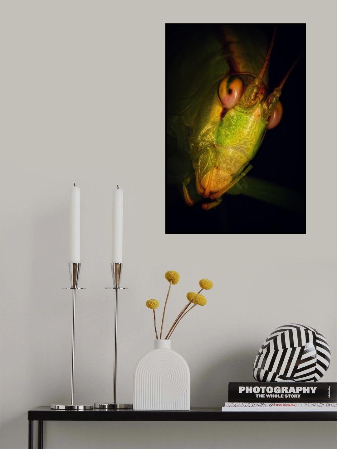 Weird Poster och Canvastavla