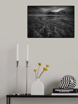 Blown by the wind Poster och Canvastavla
