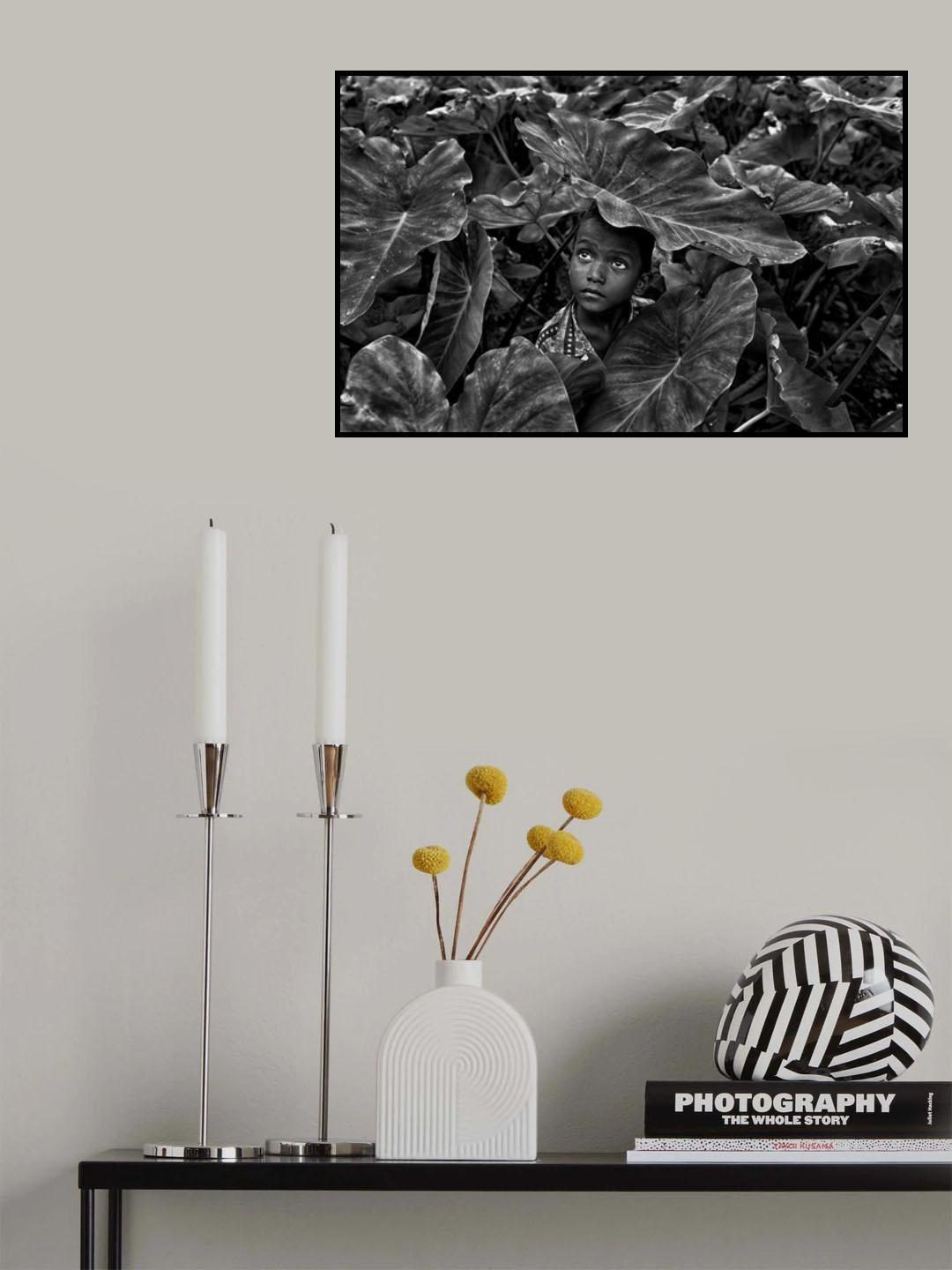 Shelter Poster och Canvastavla