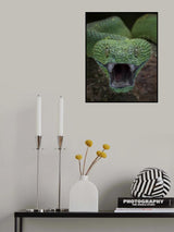 Angry Poster och Canvastavla