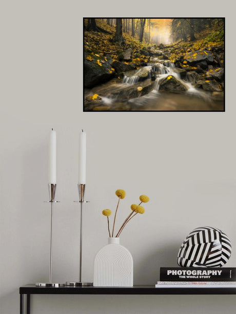 Autum Stream Poster och Canvastavla
