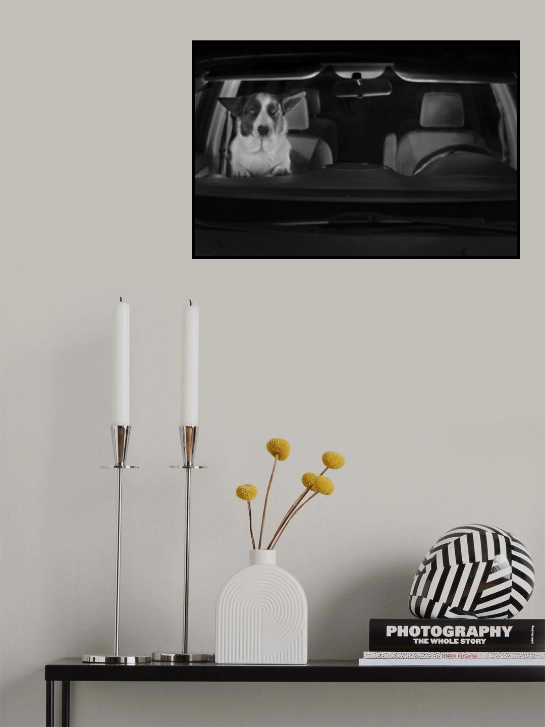 Drive In Movie Poster och Canvastavla