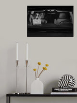 Drive In Movie Poster och Canvastavla