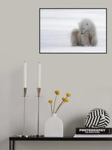 Playing with a Branch Poster och Canvastavla