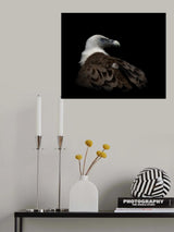 'Winking with his nictitating membrane' Poster och Canvastavla