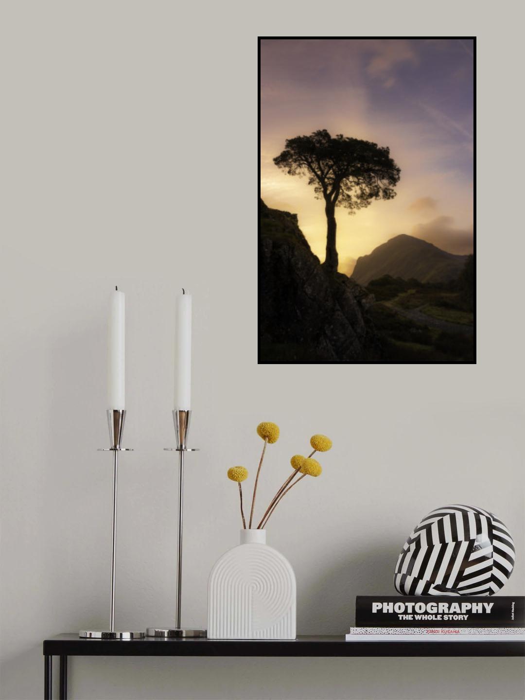 Lonely tree Poster och Canvastavla