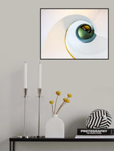 EYE Poster och Canvastavla