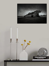 Wind blown Poster och Canvastavla