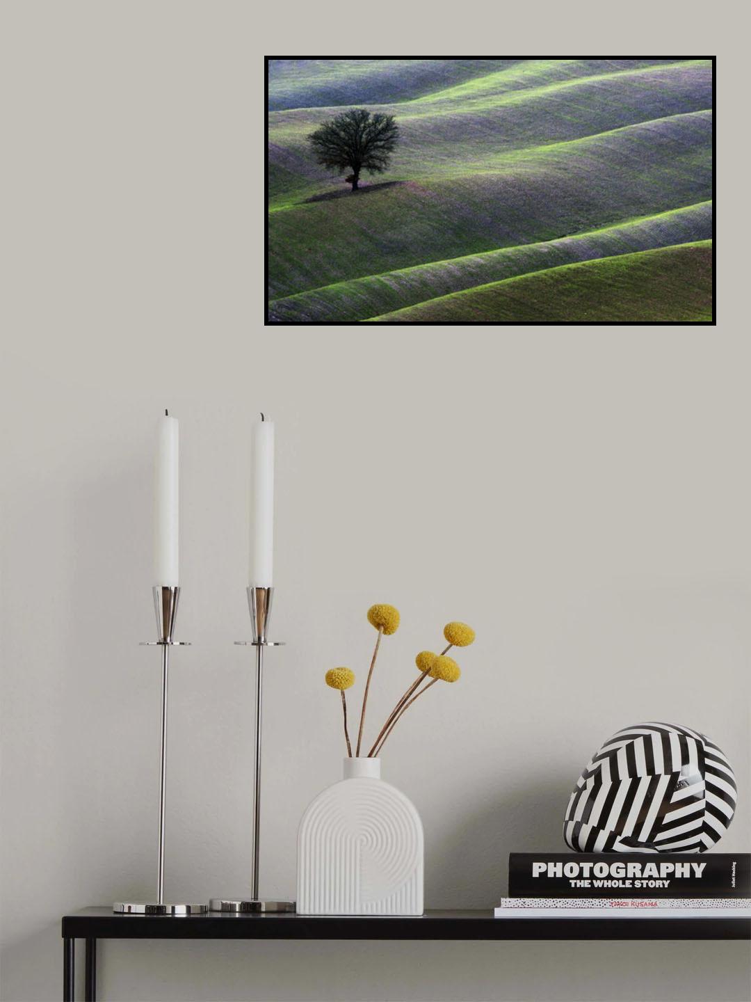 landscape Poster och Canvastavla