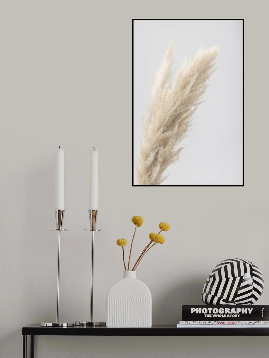 Pampas Grass Grey 07 Poster och Canvastavla