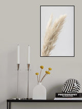 Pampas Grass Grey 07 Poster och Canvastavla