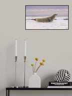 Hello Poster och Canvastavla