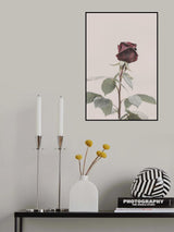 Rose Poster och Canvastavla