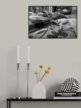 Being together Poster och Canvastavla