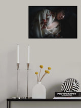 siesta Poster och Canvastavla