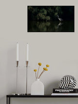 Great egret Poster och Canvastavla