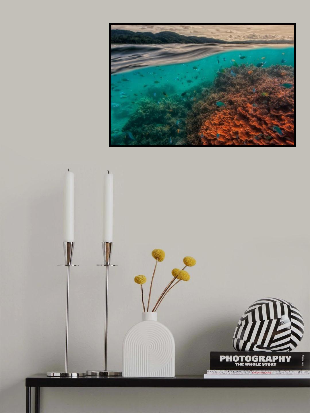 uri marine reserve Poster och Canvastavla