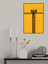 acrobatics Poster och Canvastavla