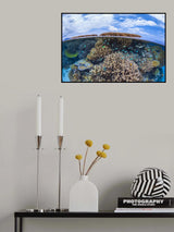 Split level from Mayotte reef Poster och Canvastavla