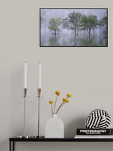 Beautiful morning Poster och Canvastavla