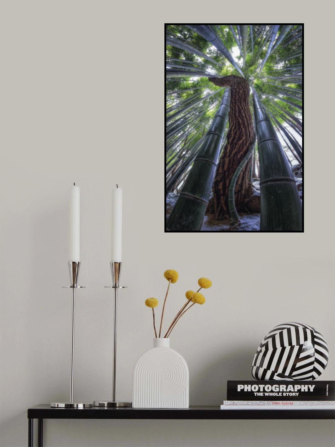 Coexistence Poster och Canvastavla