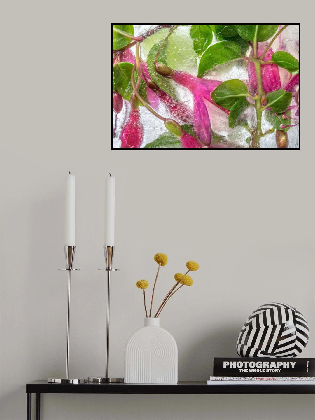 Fuchsia freeze Poster och Canvastavla
