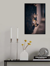 Did some one meow..?! Poster och Canvastavla