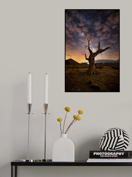 Lonely Poster och Canvastavla