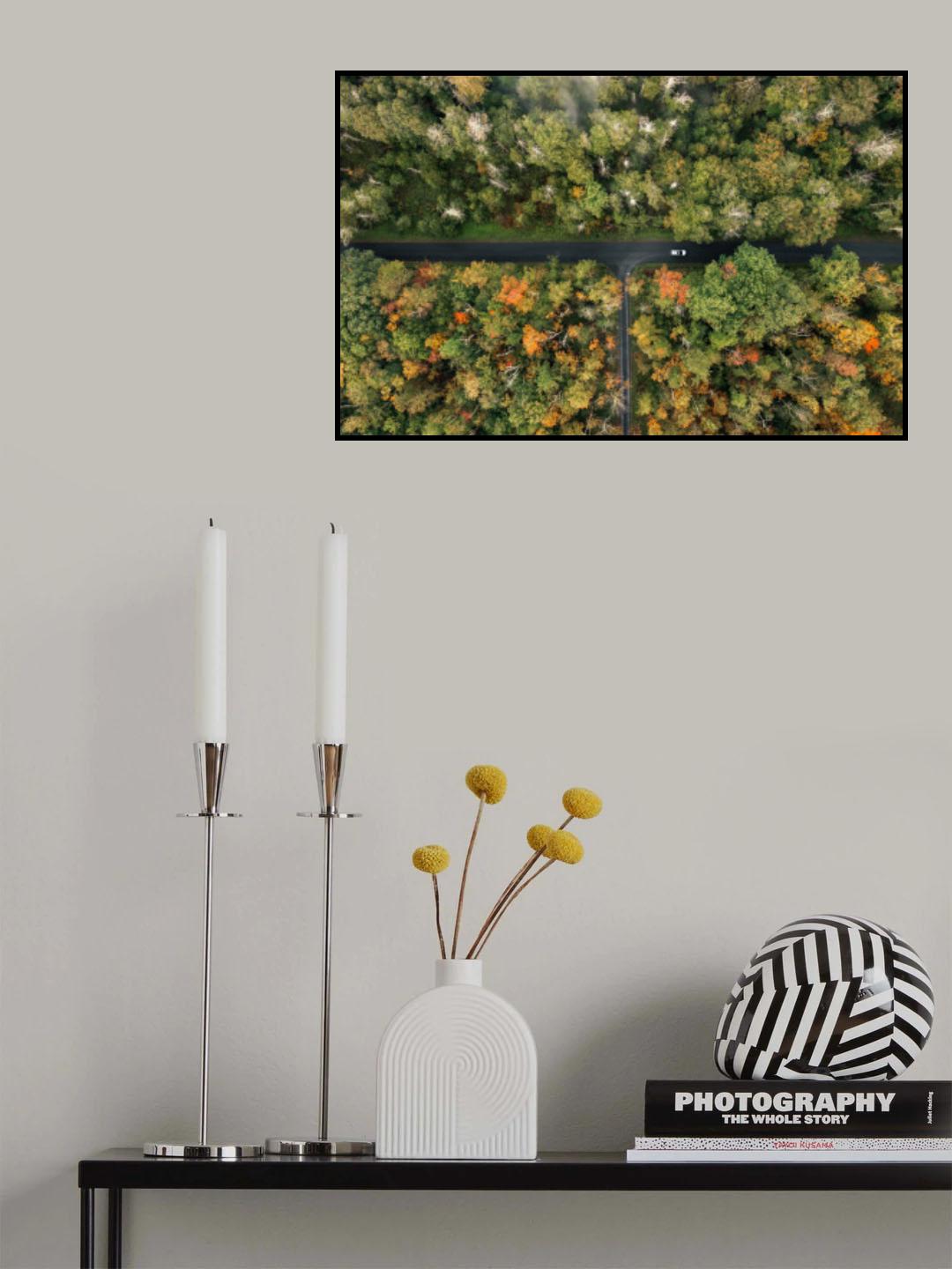 Woods Poster och Canvastavla