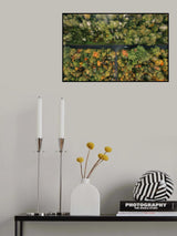 Woods Poster och Canvastavla