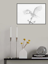 Transparent Wings Poster och Canvastavla