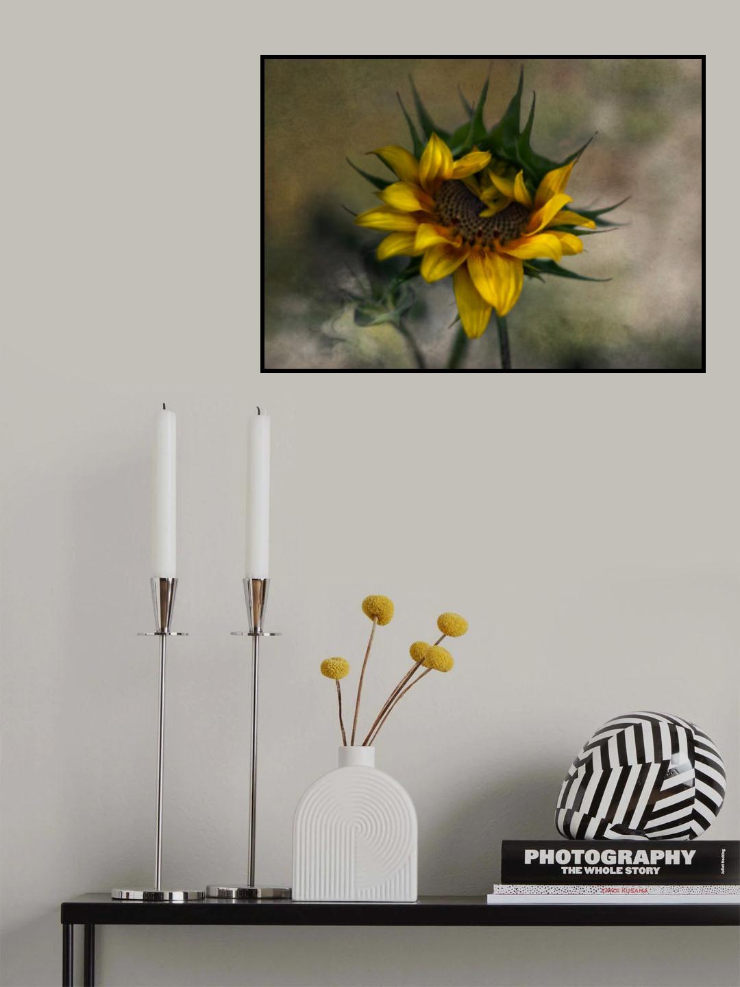 Sun Flower Poster och Canvastavla
