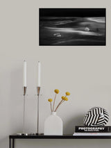 Farm Poster och Canvastavla