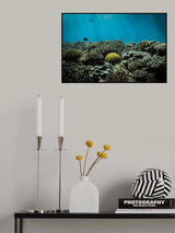 The reef Poster och Canvastavla