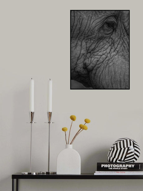 Olifant 01 Poster och Canvastavla
