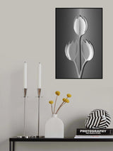 Tulips from Holland Poster och Canvastavla