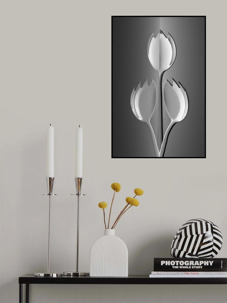 Tulips from Holland Poster och Canvastavla
