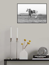 Horse love Poster och Canvastavla