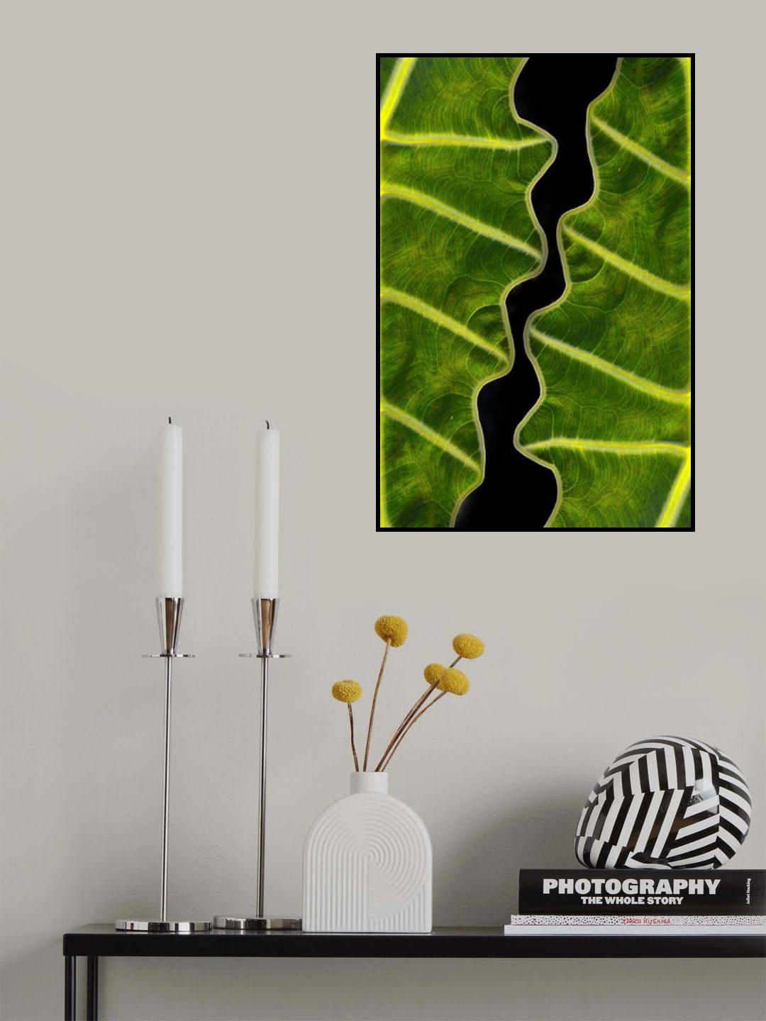 Balance Poster och Canvastavla
