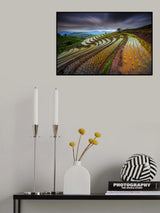 Unseen Rice Field Poster och Canvastavla