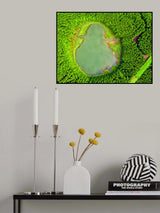 The ghost of the forest Poster och Canvastavla